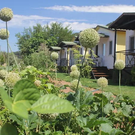 Guelsuem Hanim Evleri Bed & Breakfast *