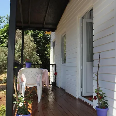 Bed and breakfast Guelsuem Hanim Evleri