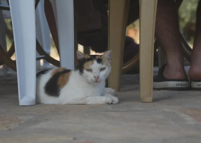 Guelsuem Hanim Evleri Отель типа 